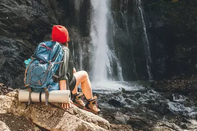 shutterstock_2376260397