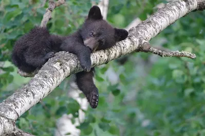 shutterstock_169592891