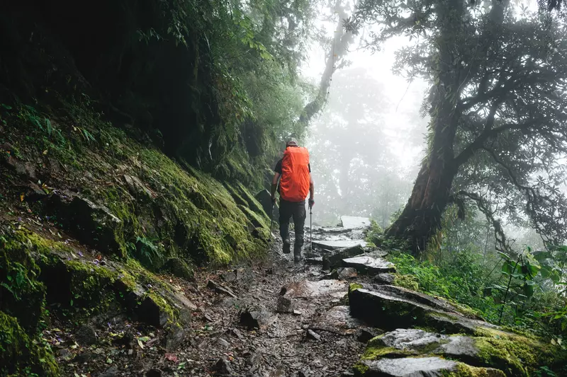 shutterstock_1546421192