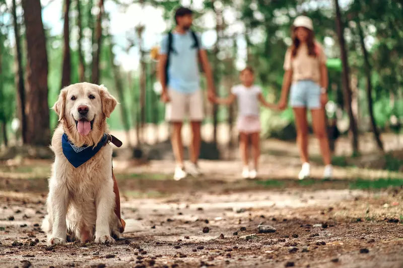 shutterstock_2361735451