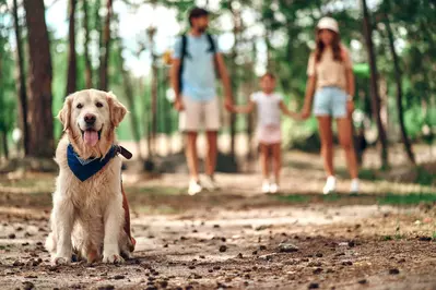 shutterstock_2361735451