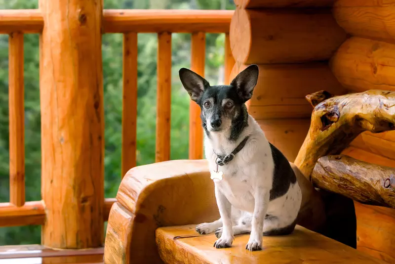 shutterstock_1819857254